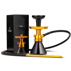 CHICHA DOREE TSAR NITRO 