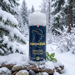 Menthe Fraîche 100ml - Smokeur dans son décor illustratif